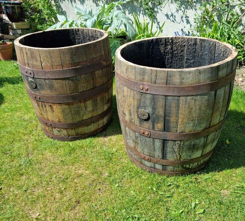 three-quarter whisky barrel planter