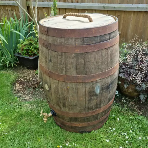 whole whisky barrel water butt with brass tap and removable rope handle lid