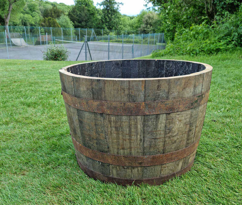 half whisky barrel planter