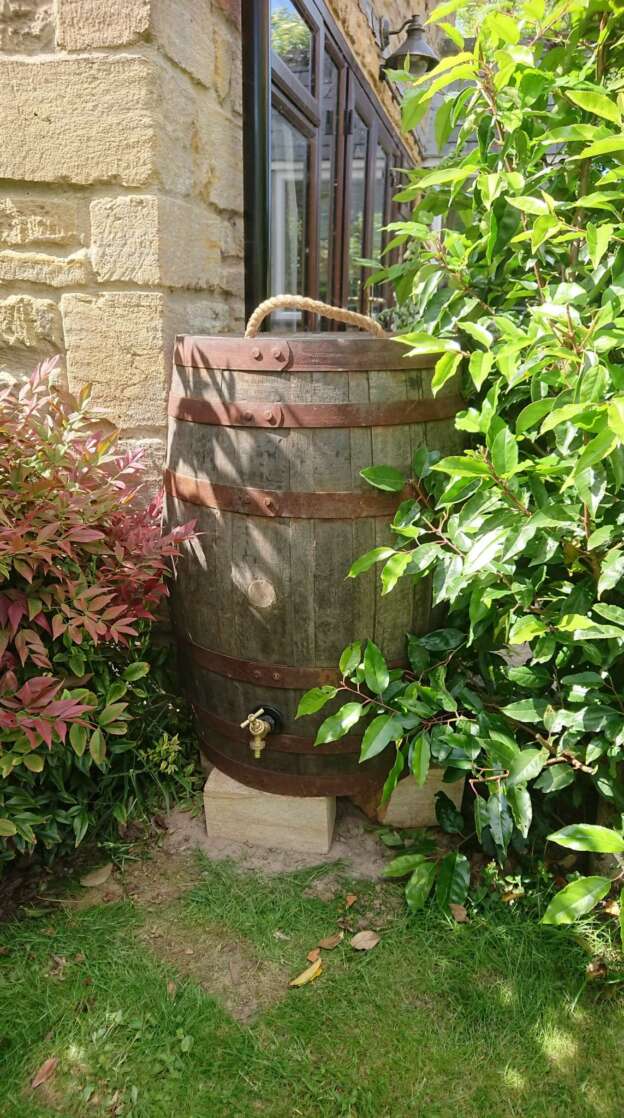 Whisky barrel water butt