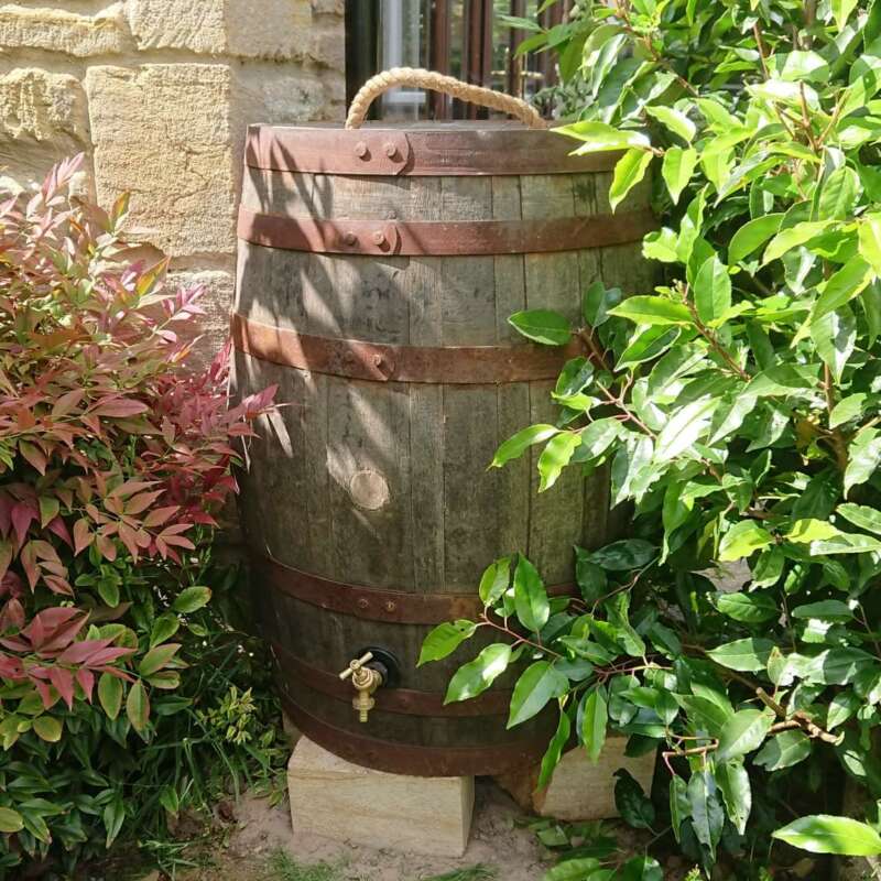 Whisky barrel water butt