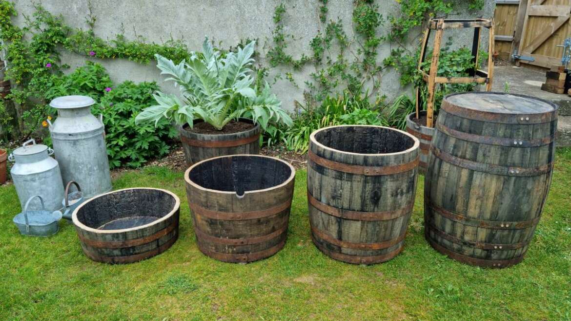 Our half whisky barrels