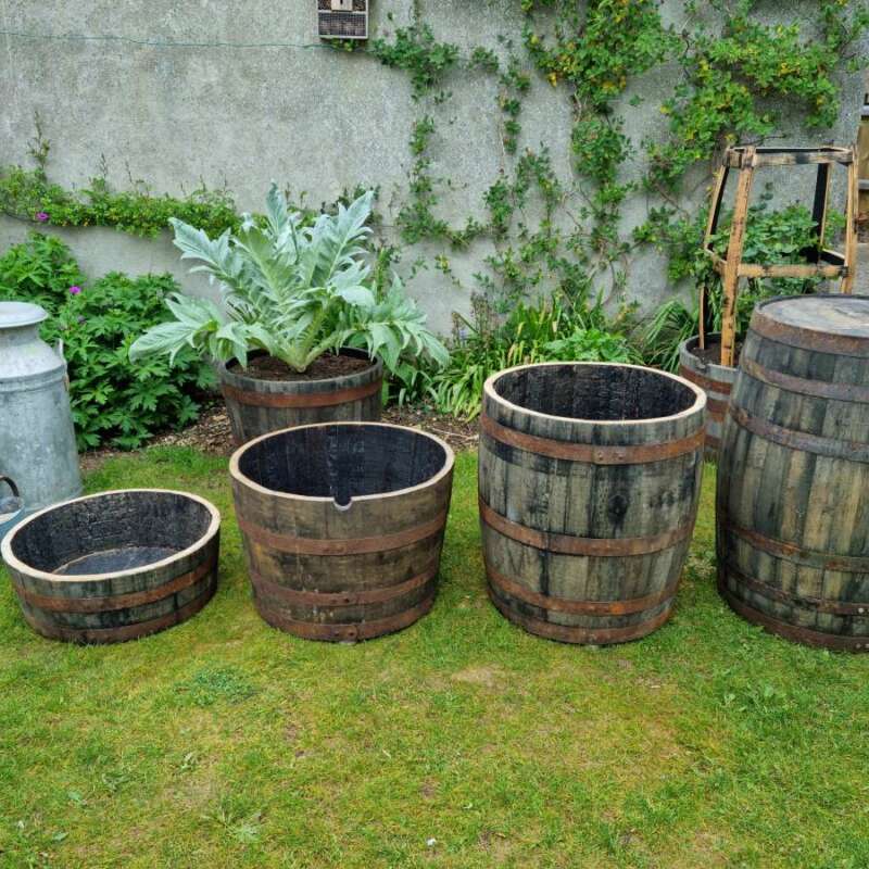 whisky barrel planter sizes