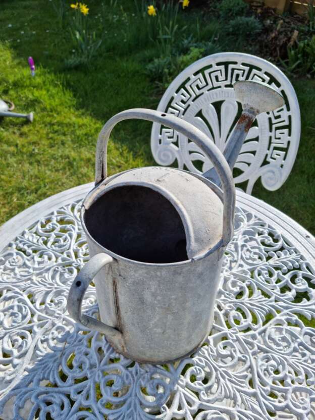 vintage galvanised country garden watering can back