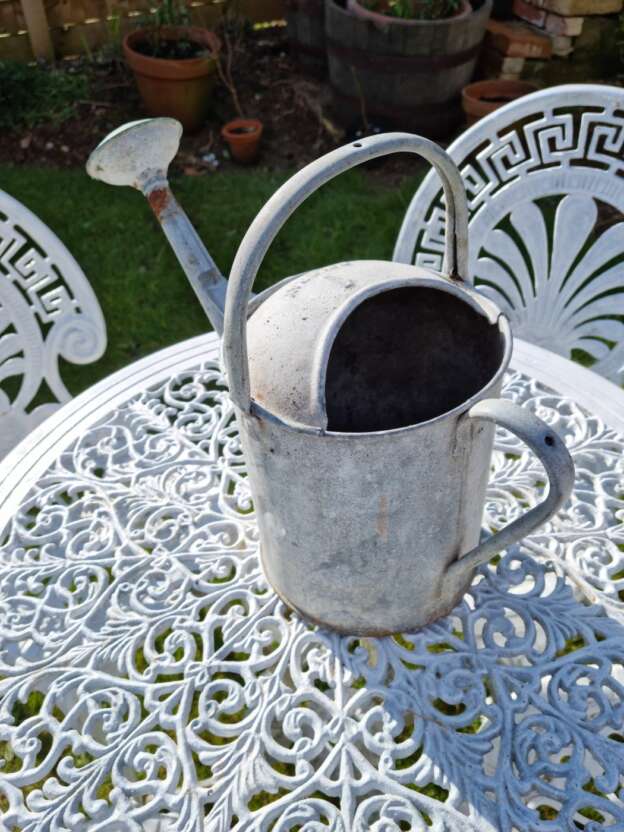 vintage galvanised country garden watering can with rose