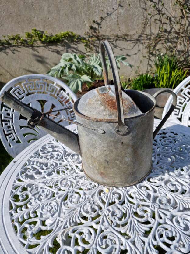 English country garden vintage watering can