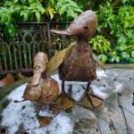 metal garden ducks