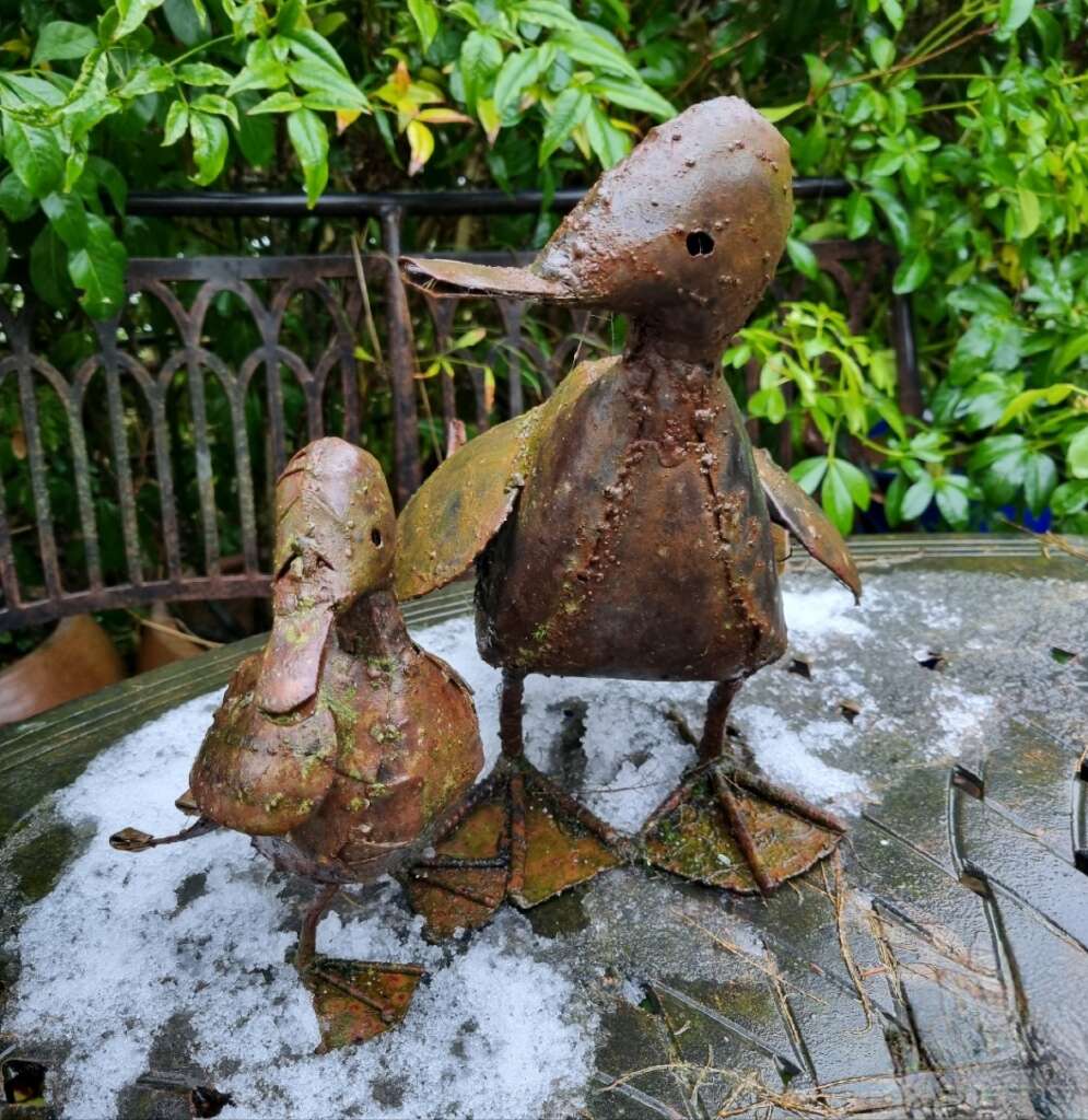 metal garden ducks