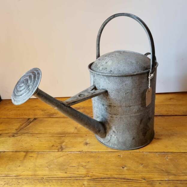 vintage galvanised watering can with rose