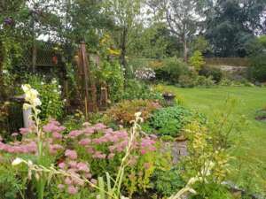 Cottage garden