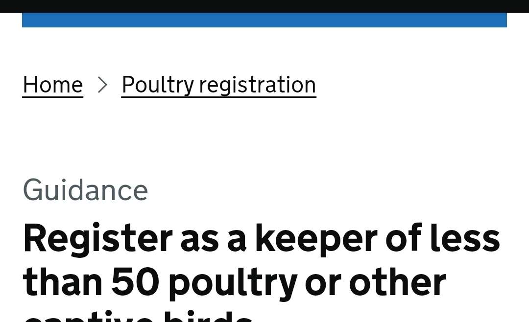 Attention Bird & Poultry Keepers! 🐦