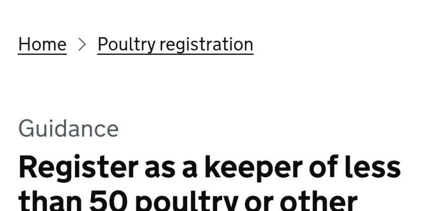 Attention Bird & Poultry Keepers! 🐦