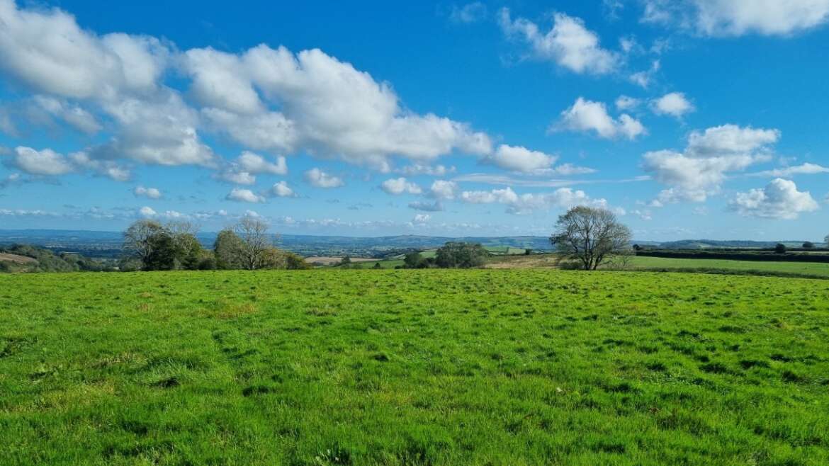 Finding Peace in the Dorset Hills: Nature’s Timeless Beauty