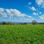 Finding Peace in the Dorset Hills