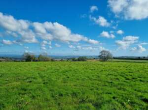 Finding Peace in the Dorset Hills