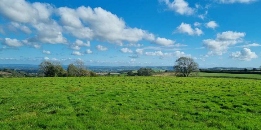 Finding Peace in the Dorset Hills: Nature’s Timeless Beauty